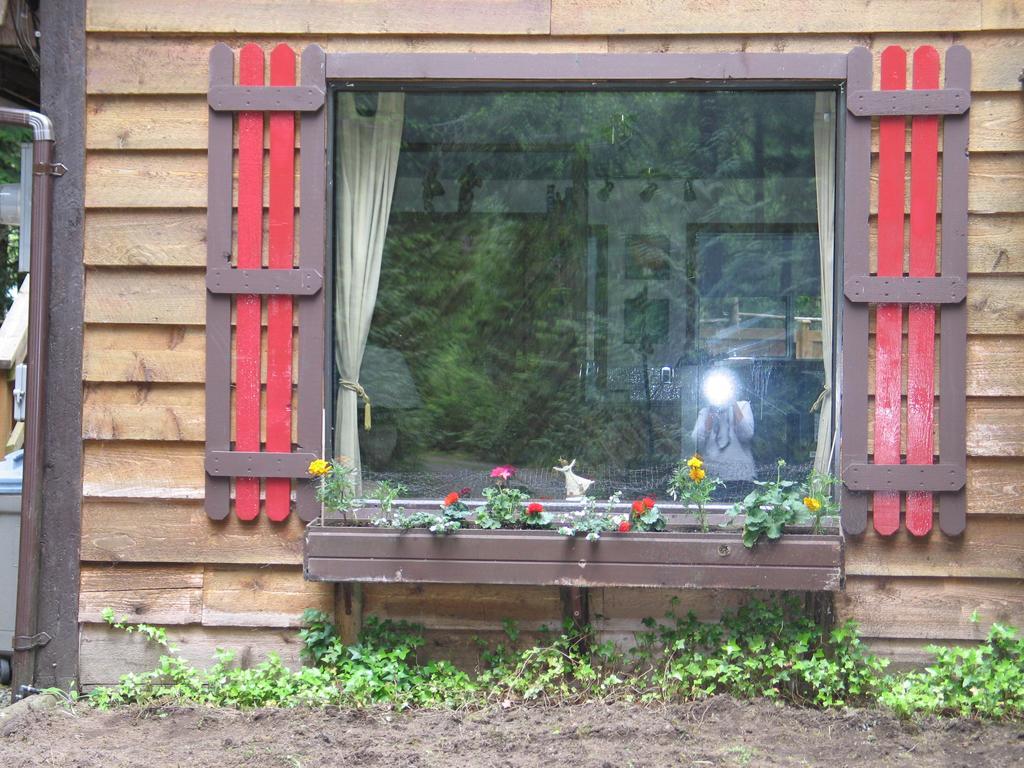 Cedar Song B&B Πάρκσβιλ Εξωτερικό φωτογραφία